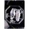 Bird Pour Box Chocolate Mold Elegant Lid with Flying Birds Design